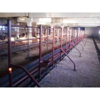 Оборудование стойловое ОСК-Ф